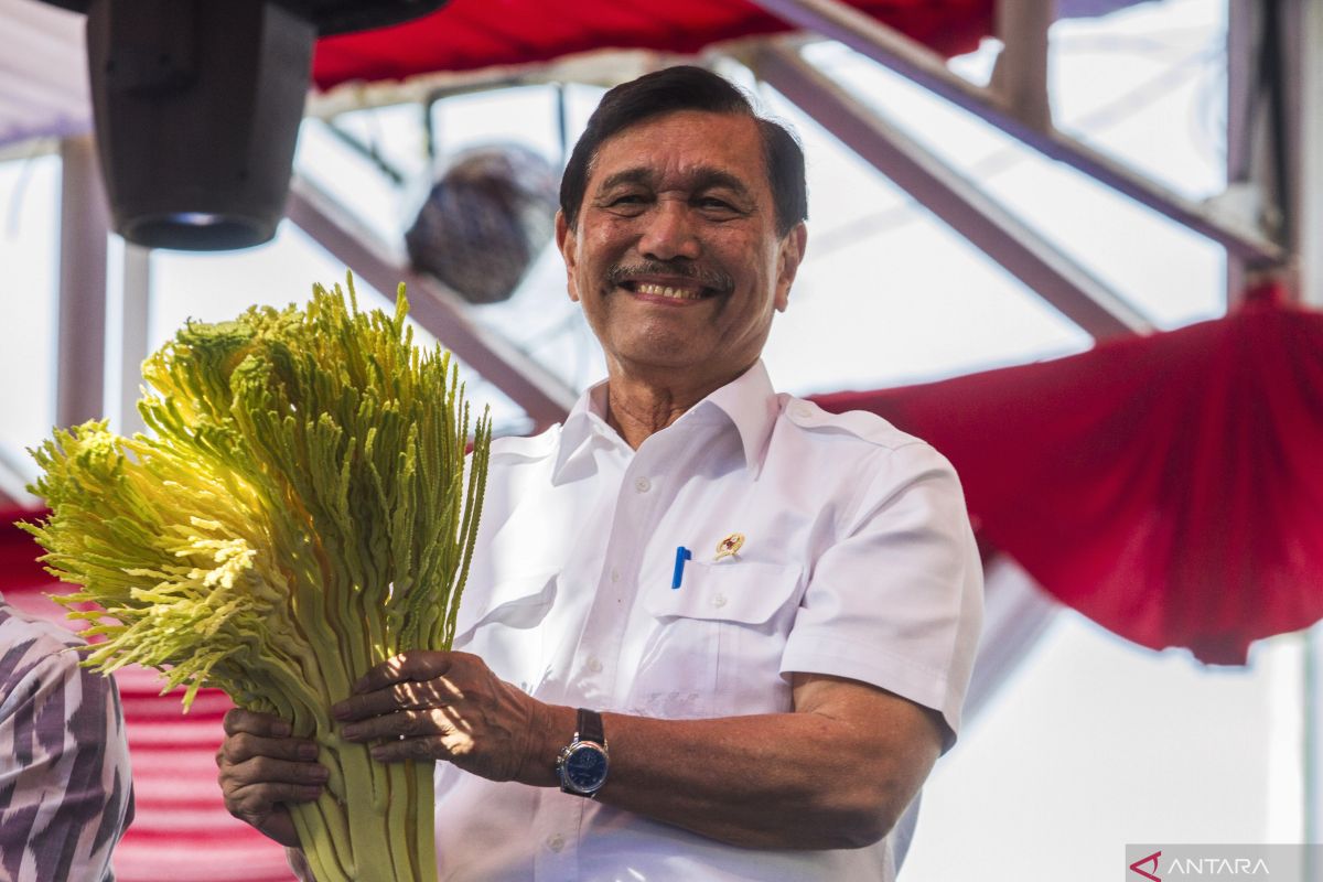 Luhut klaim utang Indonesia terkecil di dunia dibandingkan dengan negara lainnya