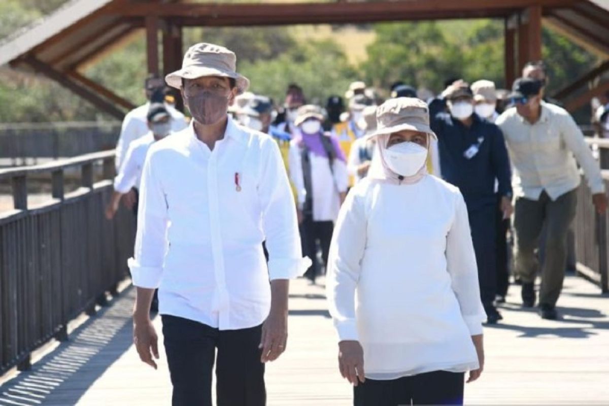 Presiden Joko Widodo dan Ibu Iriana tinjau hunian wisata Labuan Bajo di NTT