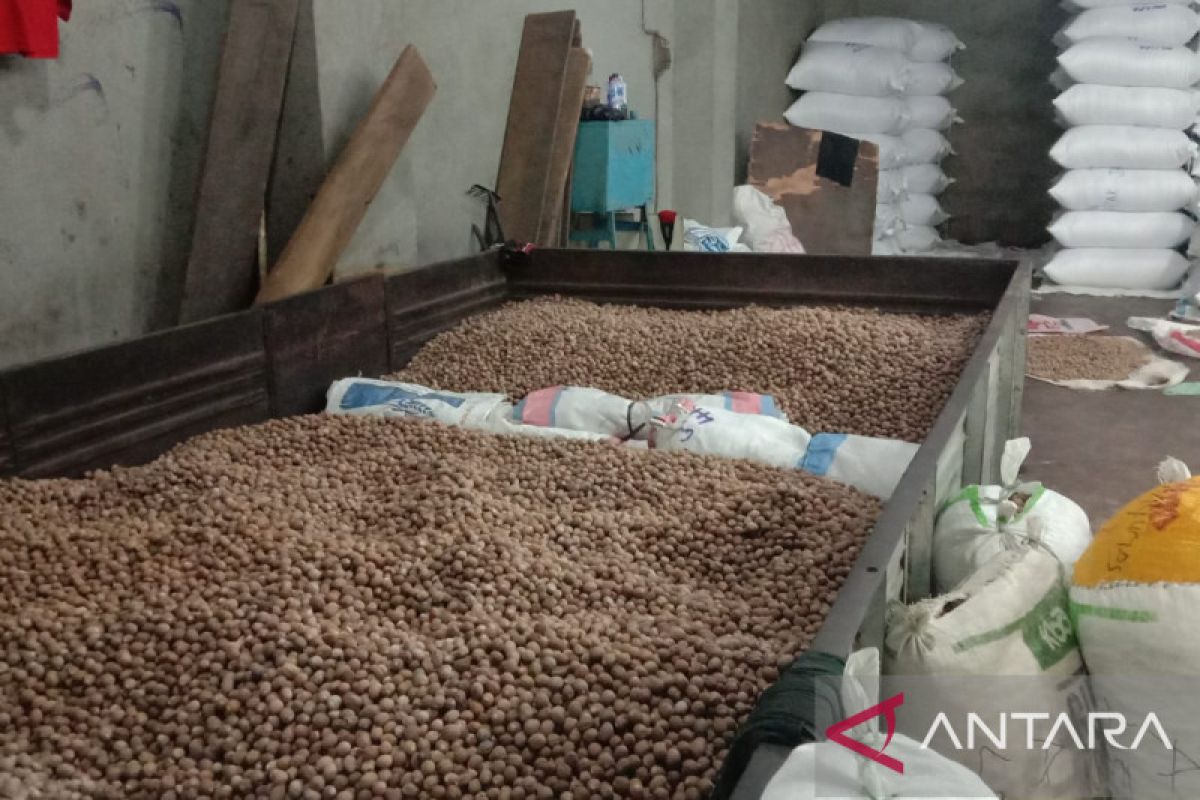 Harga cengkih di Ambon melejit tembus Rp120.000/Kg