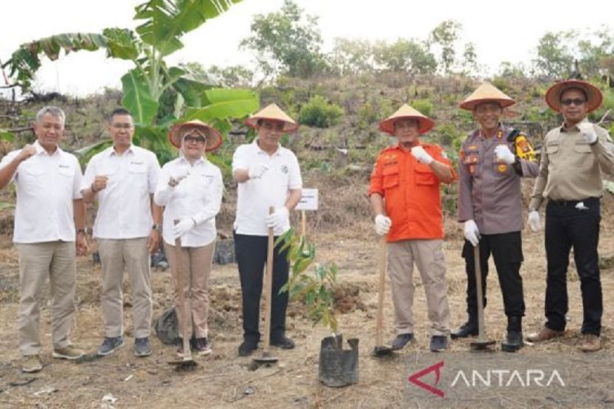 Wamendes PDTT dan PT Timah tanam durian unggulan Bangka Barat