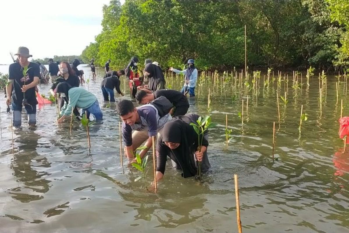 Kemenko PMK gandeng Universitas Hasanuddin Makasar tanam 10 juta pohon