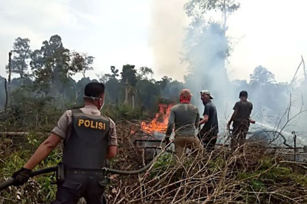 Polda Riau tangkap sembilan pelaku Karhutla