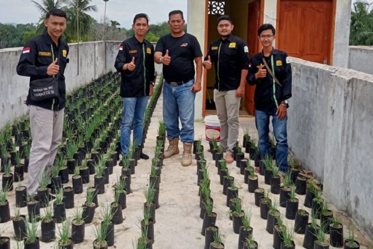 KTNA Aceh Tamiang tanam bawang merah organik di polybag