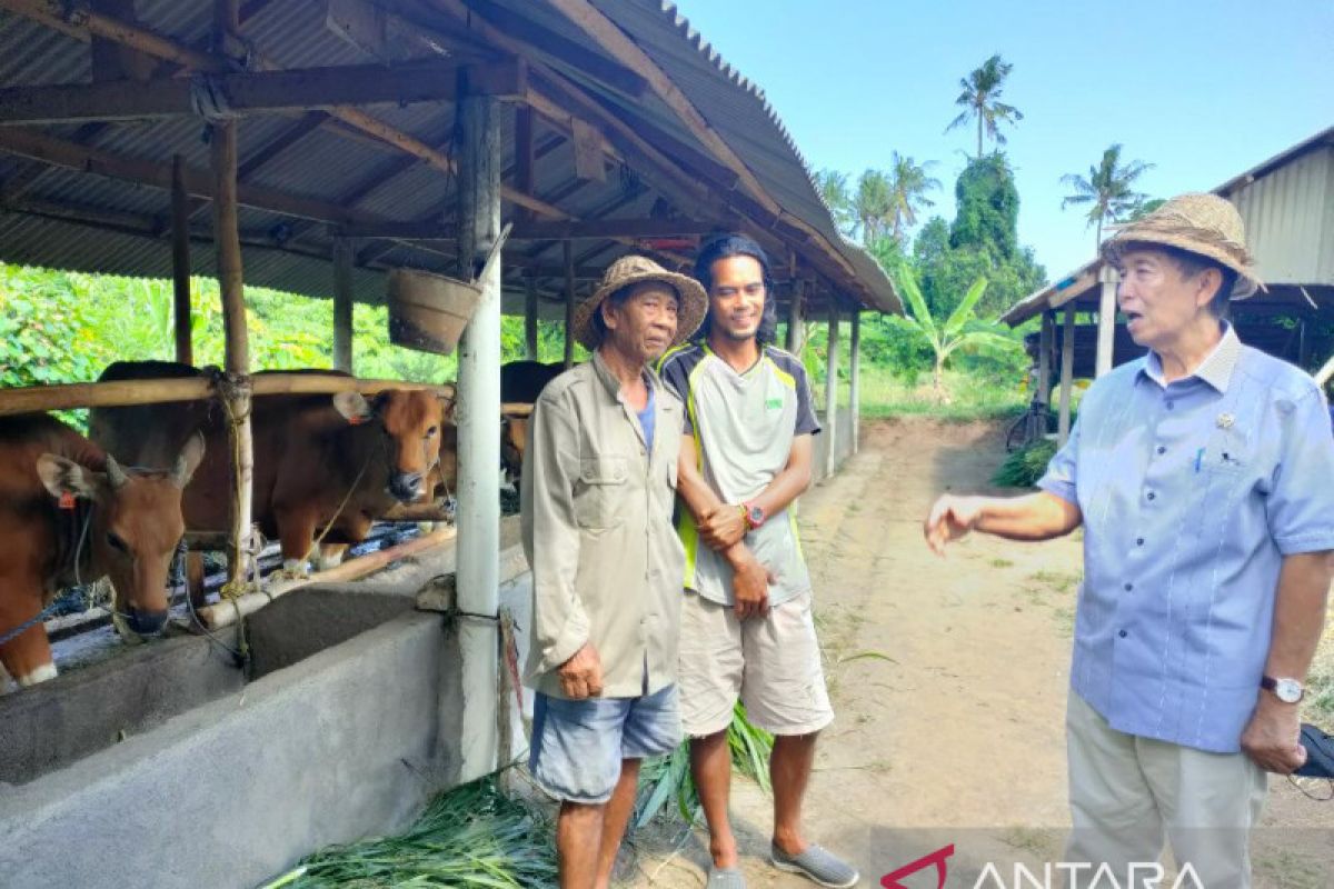 Mangku Pastika ingin pemda beri subsidi mesin untuk petani Bali