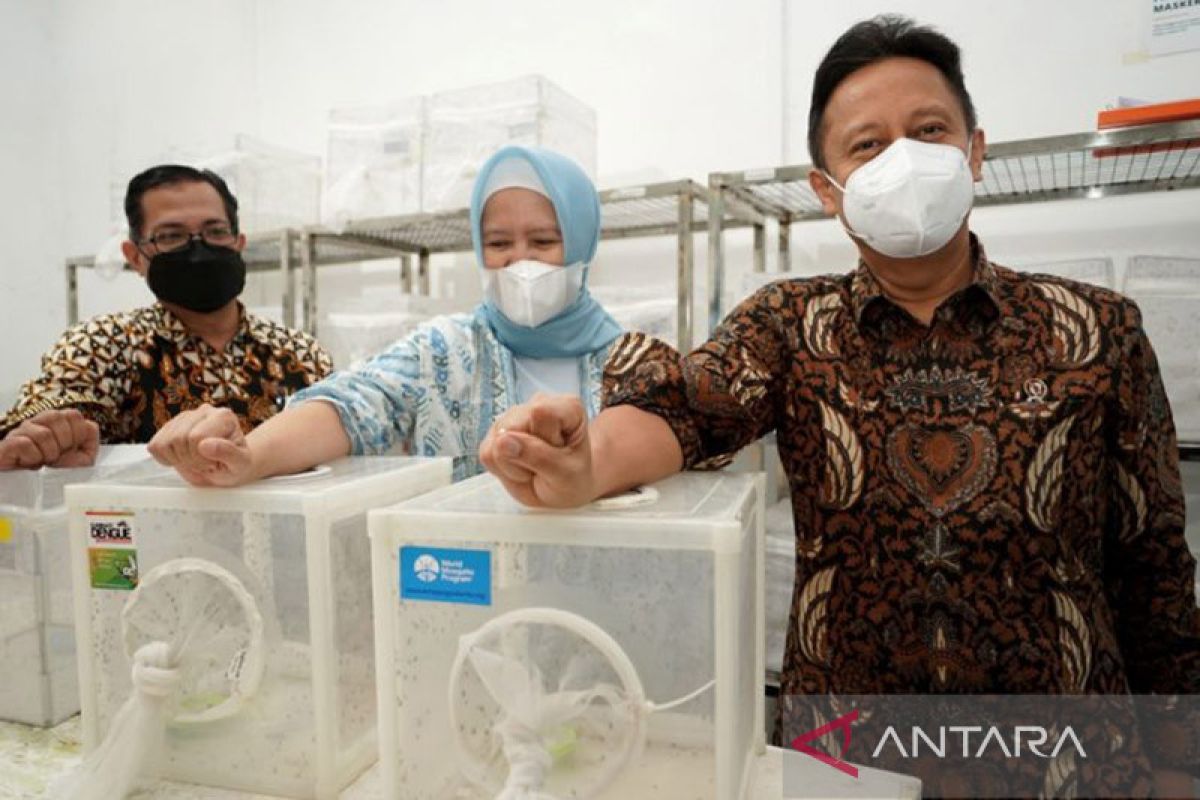 Antisipasi demam berdarah, Yogyakarta giatkan satu rumah satu jumantik