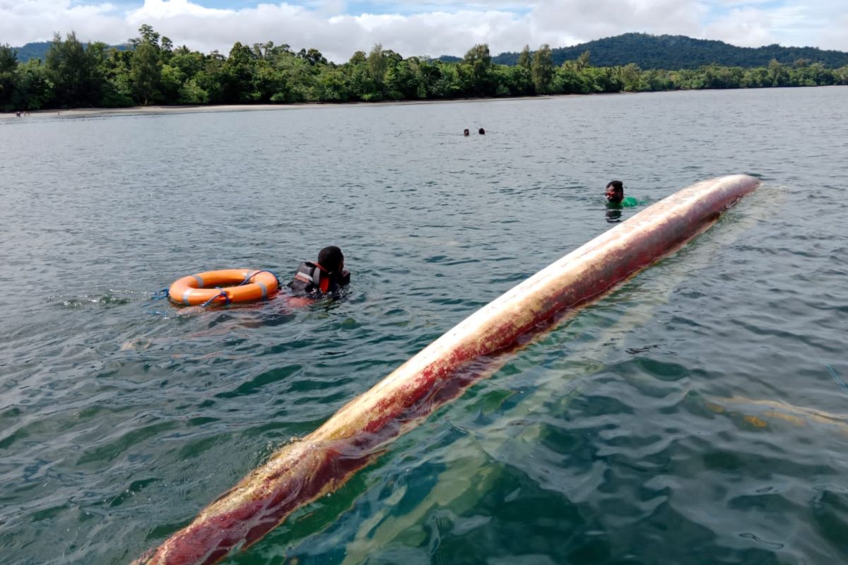 Satu warga tewas dalam kecelakaan perahu motor di Teluk Wondama