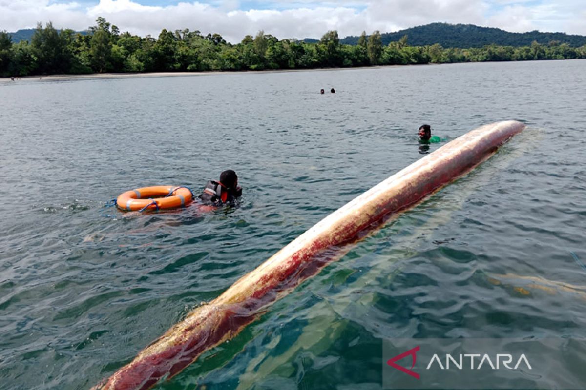 Seorang tewas dalam kecelakaan kapal mesin di Teluk Wondama