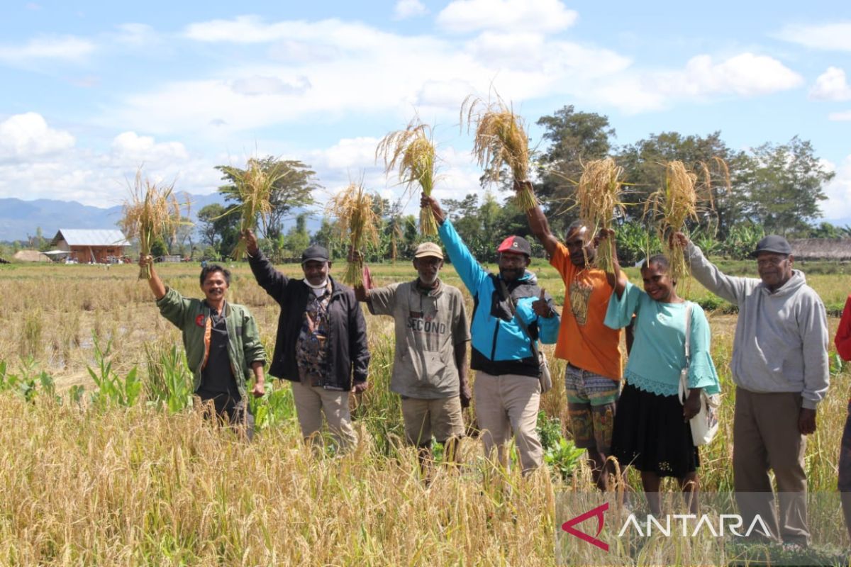 Bupati Banua: pemda beli hasil pertanian perkuat pangan lokal