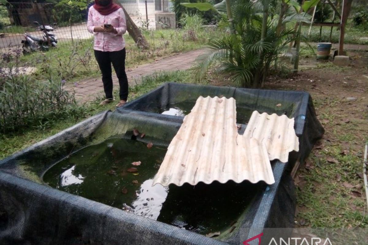 Pemkot Jakbar: "Kolam gizi" untuk wujudkan ketahanan pangan publik