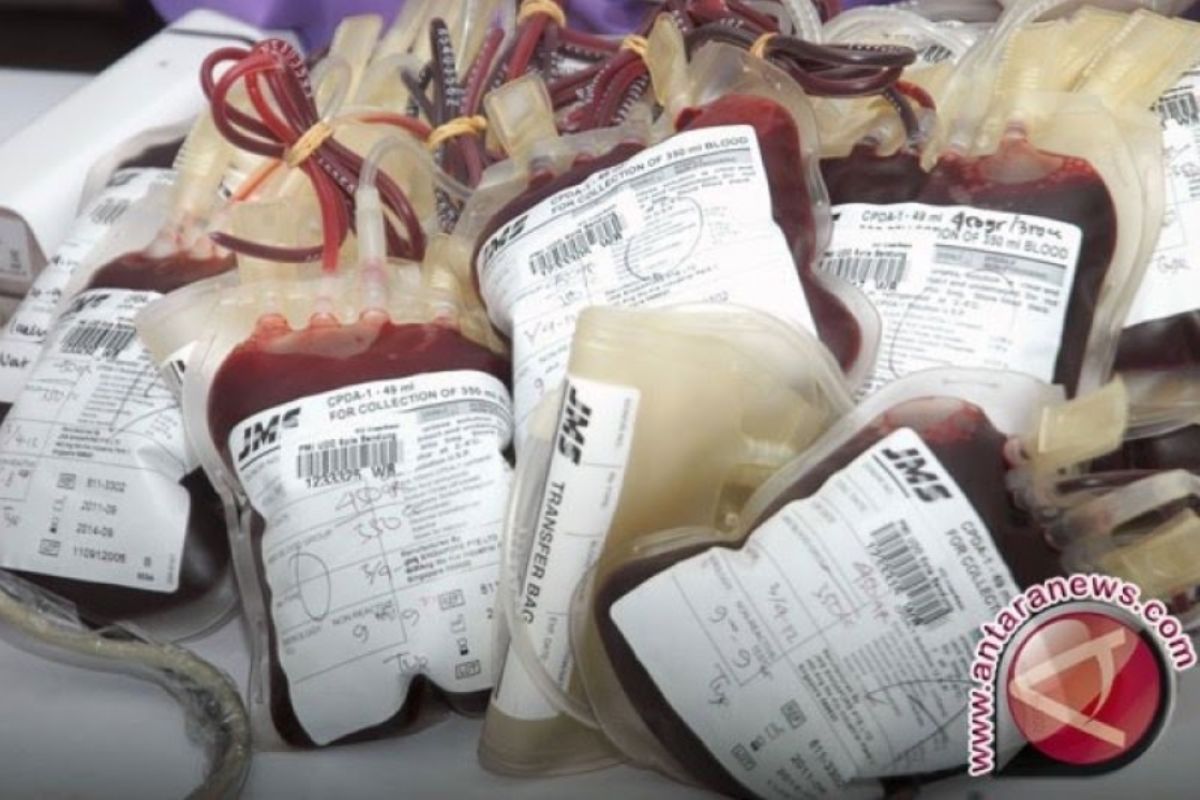 PMI temukan 514 kantong darah di Surabaya terkontaminasi penyakit menular