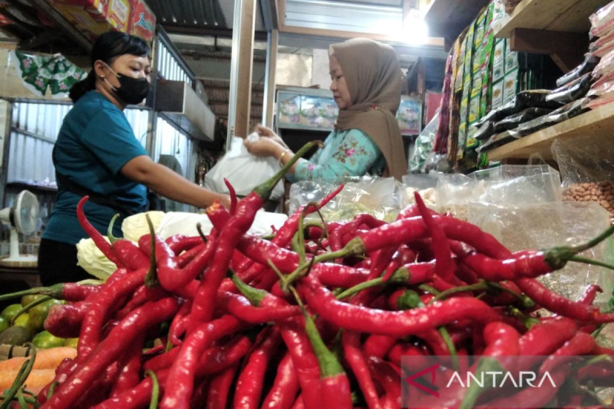 Harga cabai di pasar tradisional Kudus terus menurun