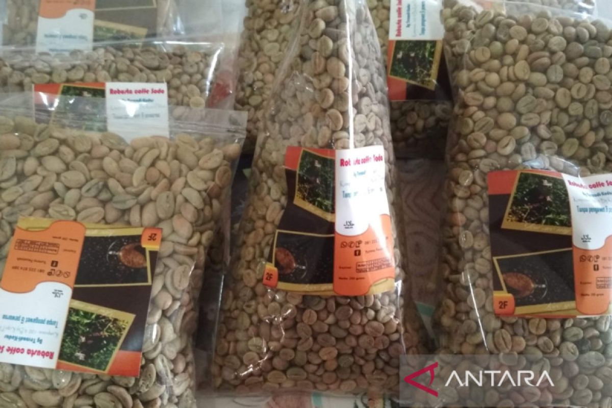 Kudus District seeks to introduce muria coffee as special variety