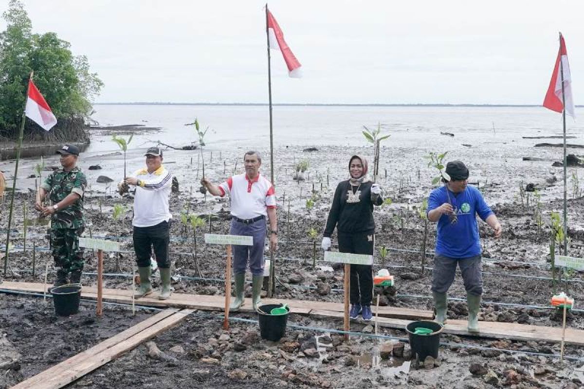 200.000 bibit mangrove ditanam di Bengkalis-Riau