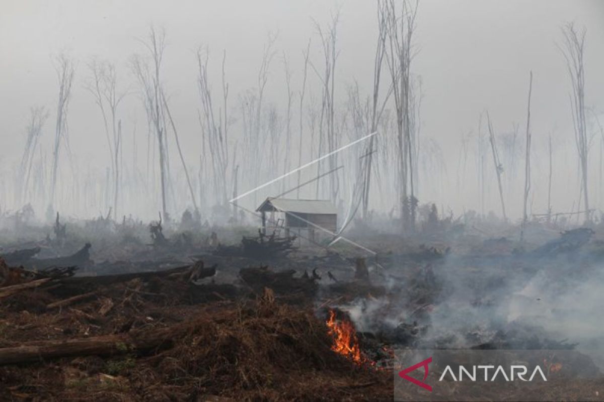BPBA: Selama kemarau, 68 hektare lahan di Aceh terbakar