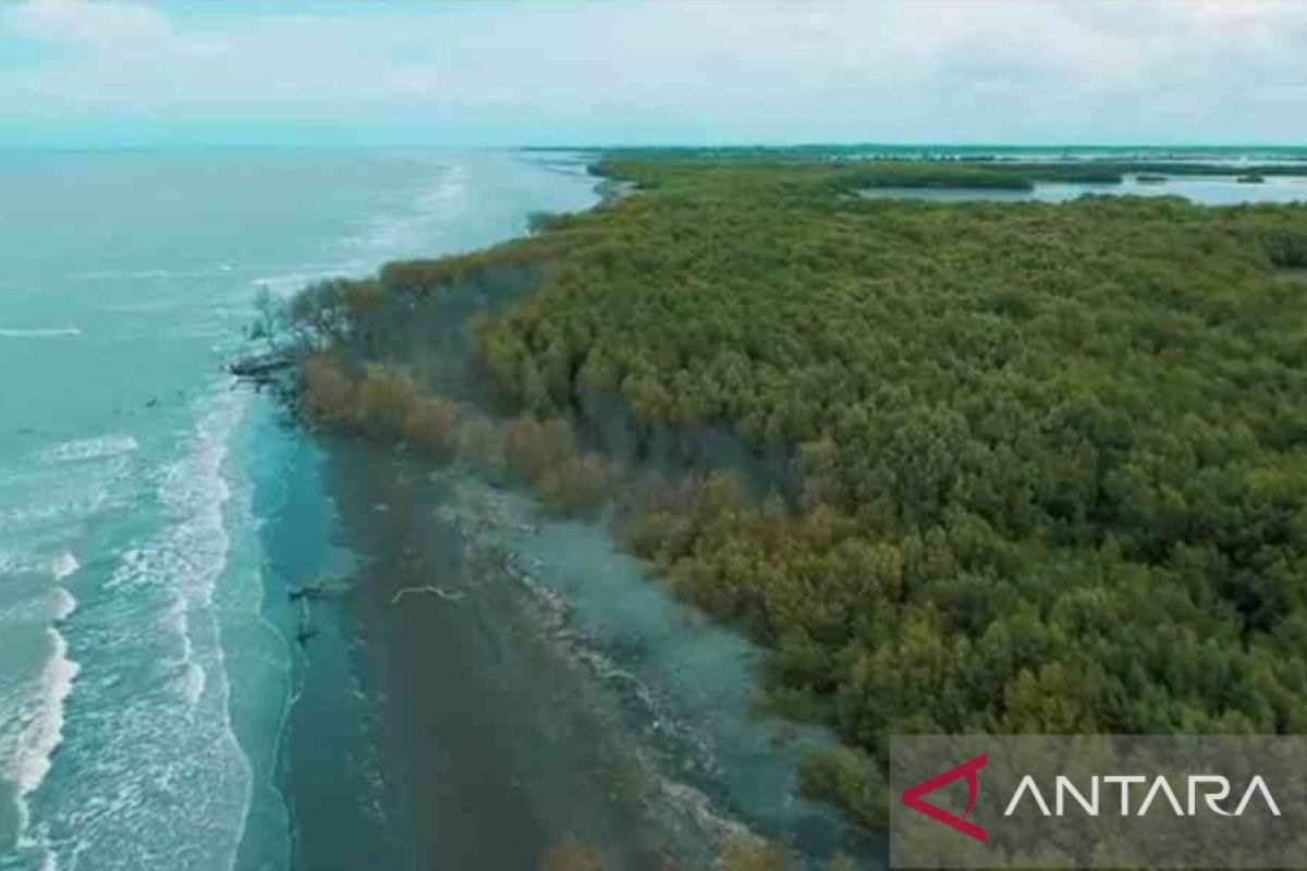 Pegiat lingkungan minta perbaikan kerusakan hutan mangrove Muaragembong