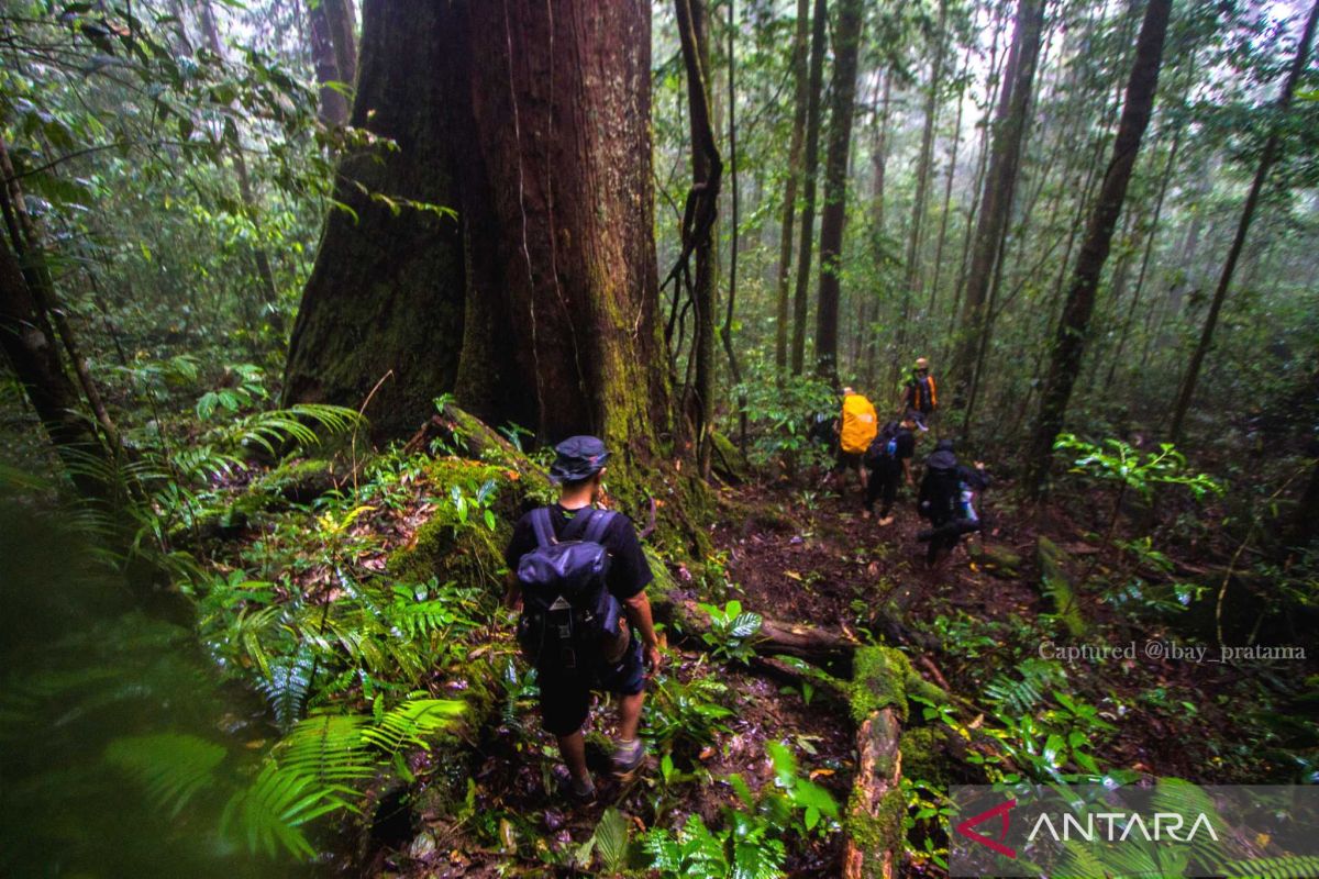 Menghantar Meratus jadi geopark dunia