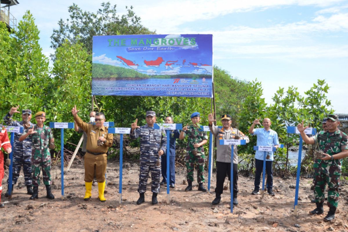 Lanal Dumai ikuti penanaman serentak mangrove dengan 2.237 bibit