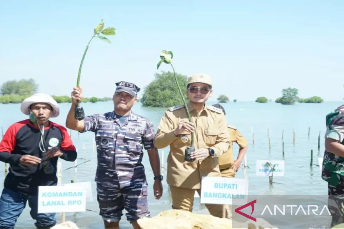 Pemkab Bangkalan dan TNI AL bersinergi cegah abrasi pantai