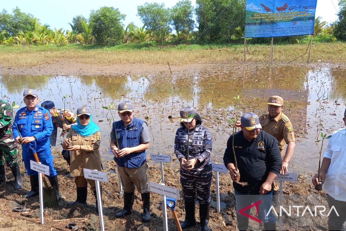 TNI AL tanam ribuan pohon mangrove di Geopark Ciletuh untuk jaga ekosistem laut