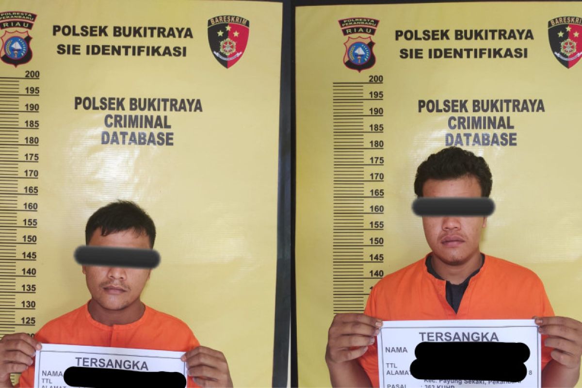 Telah beraksi di enam tempat, spesialis Curanmor di Pekanbaru diringkus polisi