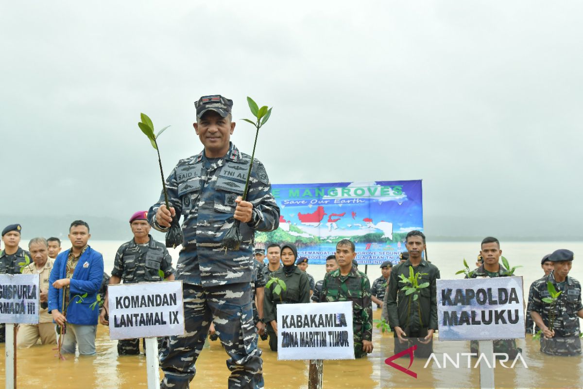 Lantamal tanam 1.000 mangrove sukseskan pemecahan rekor MURI