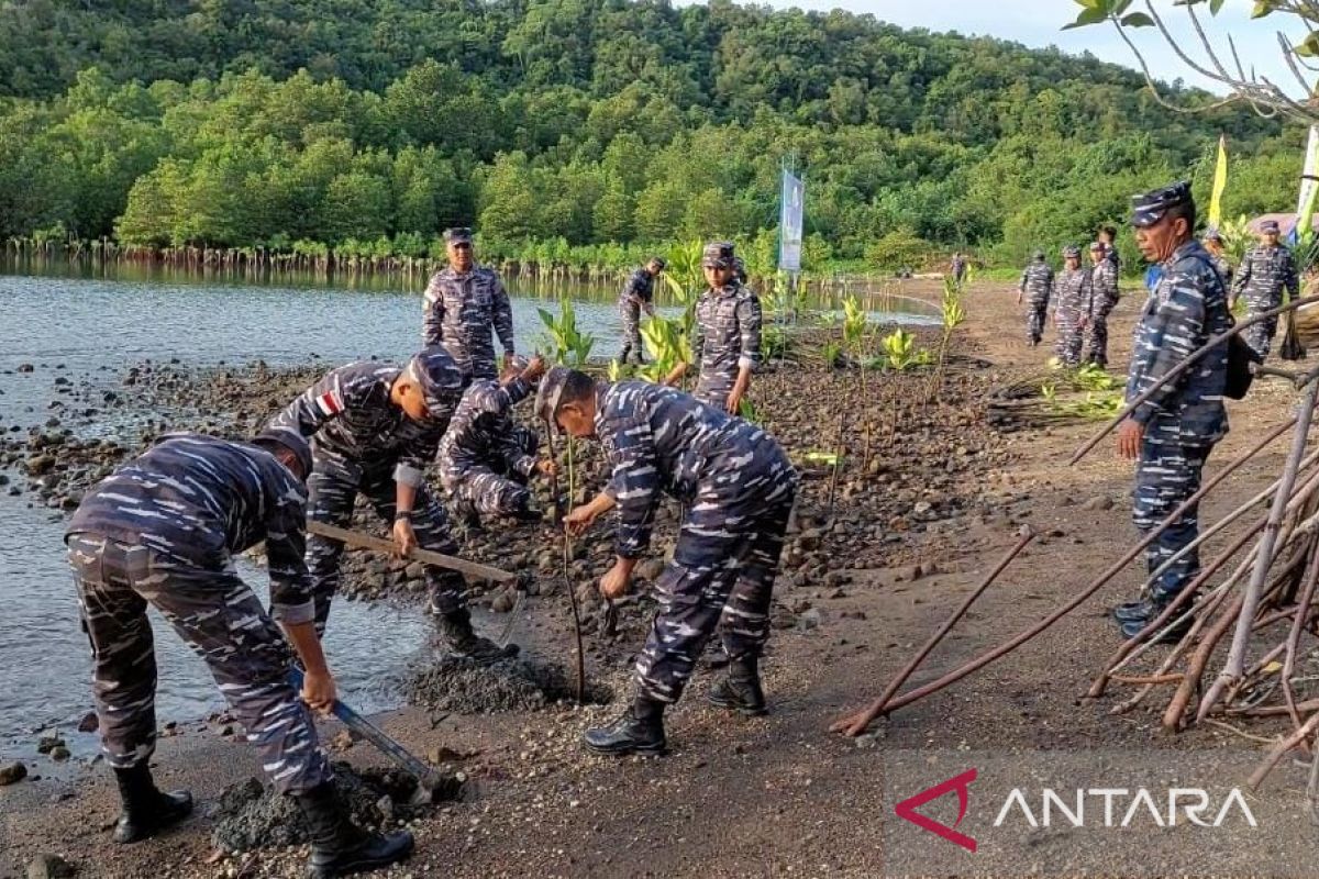 Lanal tanam 5.000 bibit bakau di pantai Sabang