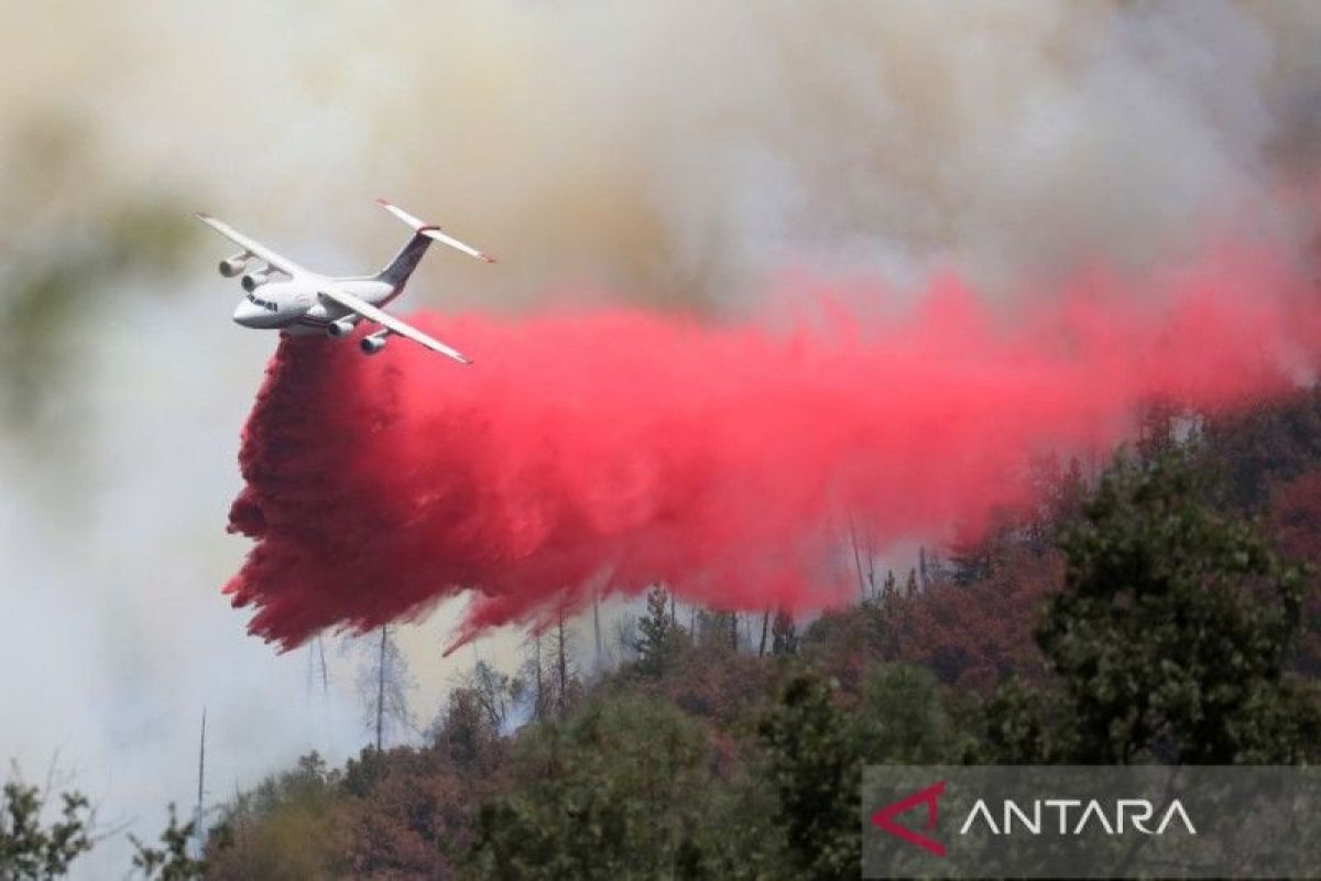 Kebakaran hutan di California akhirnya mulai bisa dikendalikan