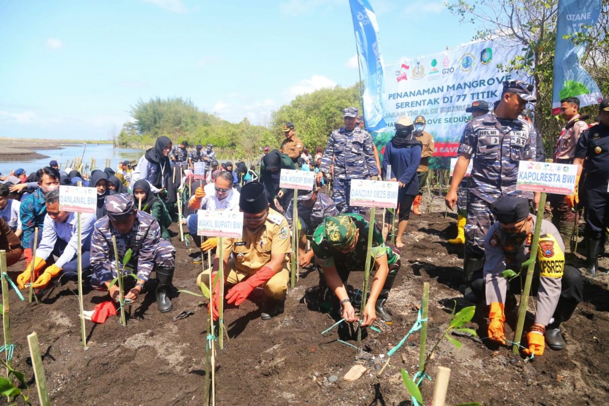 Hari Mangrove se-Dunia, Pemkab dan Lanal Banyuwangi tanam 5.000 bibit bakau
