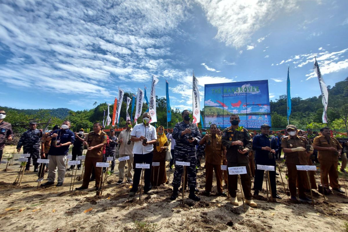 4.000 batang mangrove ditanam TNI-AL-Semen Padang di Sungai Pinang
