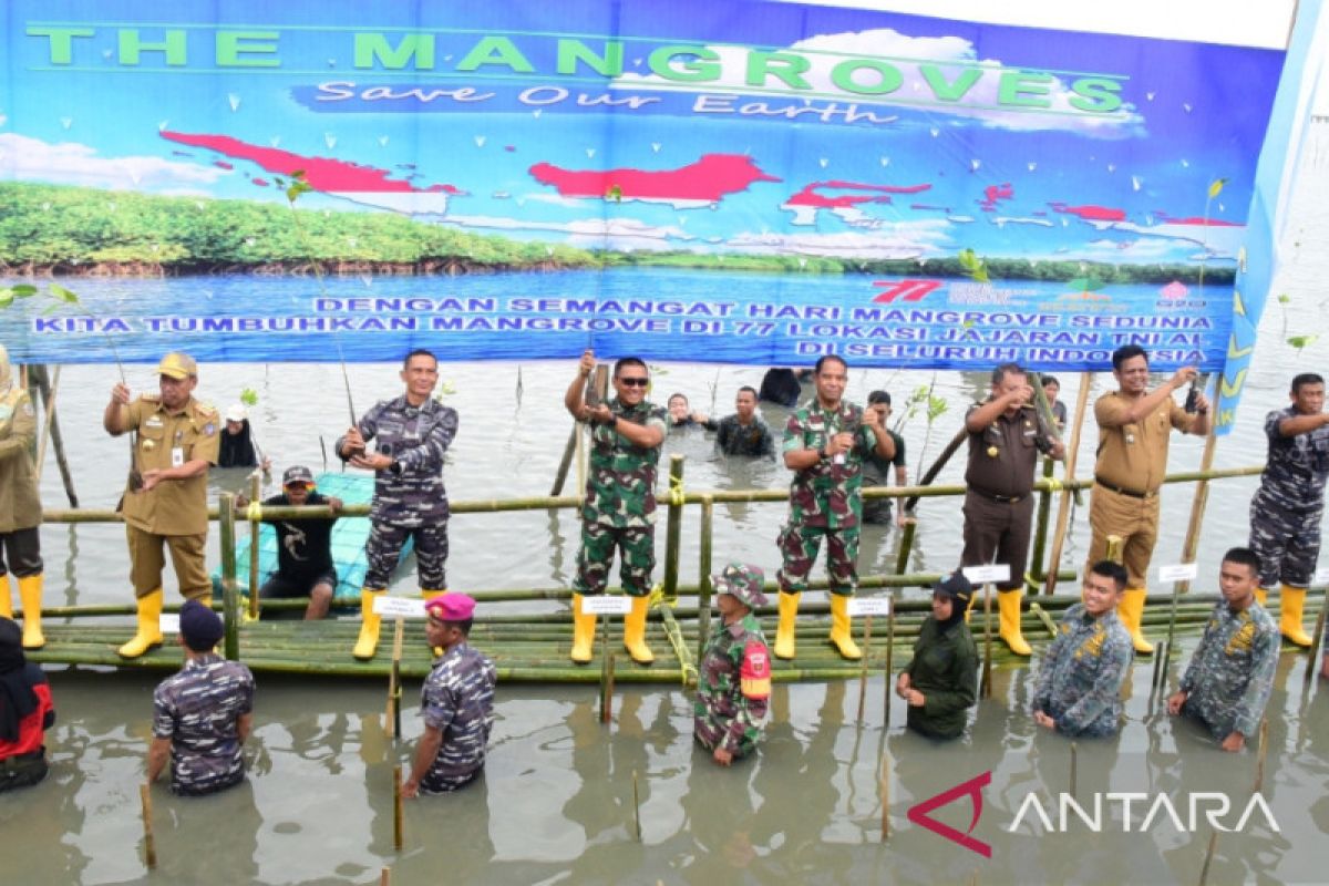 Prajurit Lantamal VI lakukan penanaman 5.000 bibit mangrove