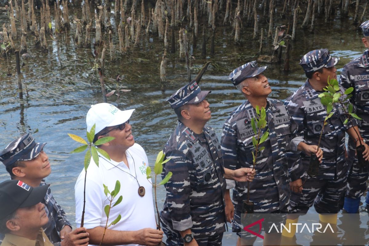 PLN dukung TNI AL cetak rekor dunia tanam mangrove
