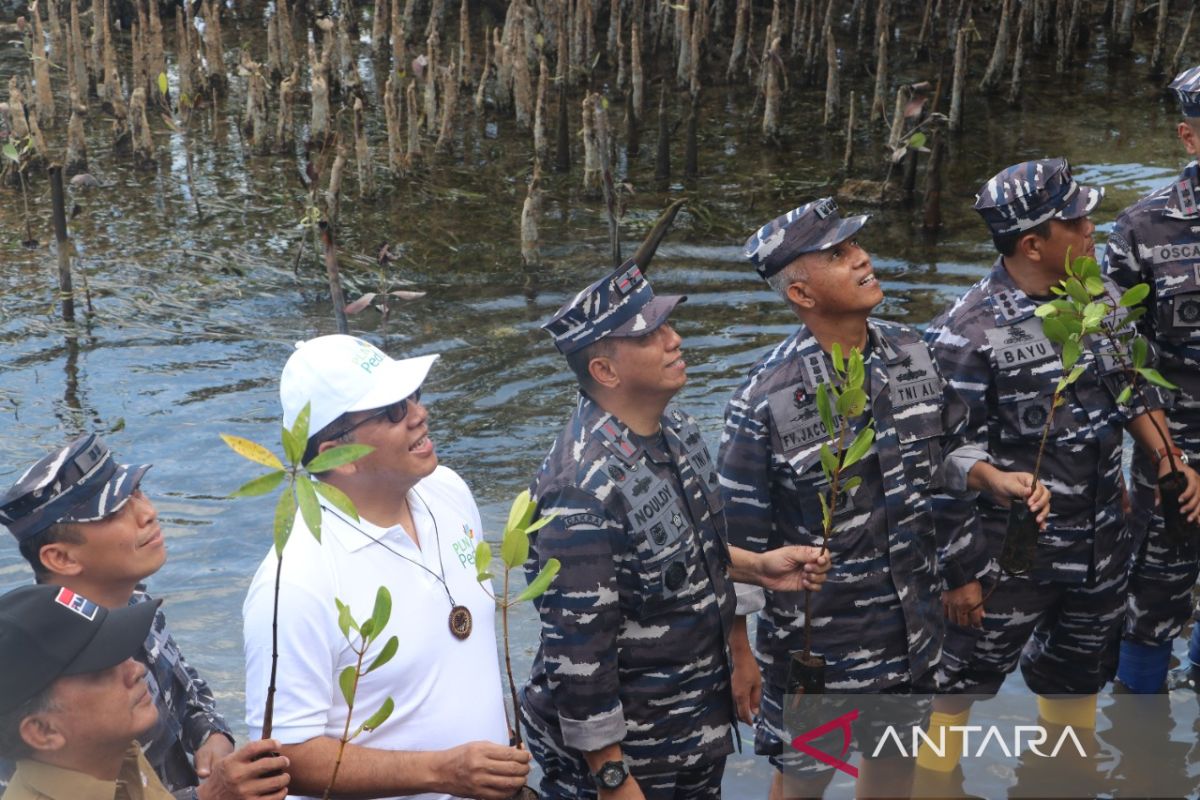 Pemerintah sosialisasikan Indonesia's FOLU Net Sink turunkan emisi