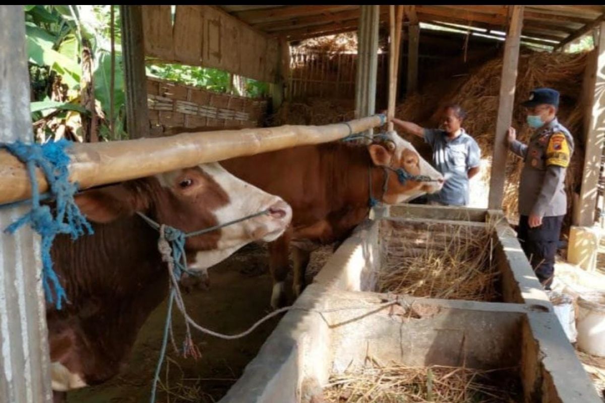 Polres Trenggalek giatkan program sambang ternak warga dan pasar hewan