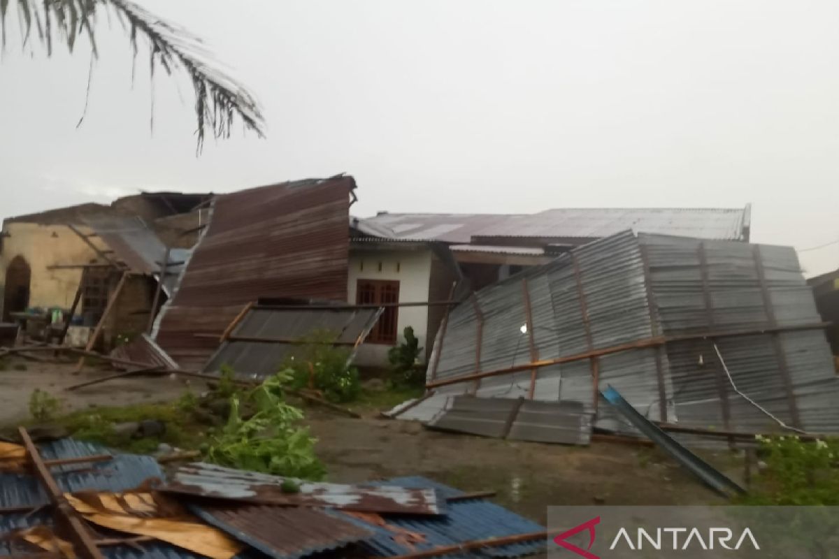 Puting beliung di Sergai telan korban jiwa, pembuat batubata tewas tertimpa pohon