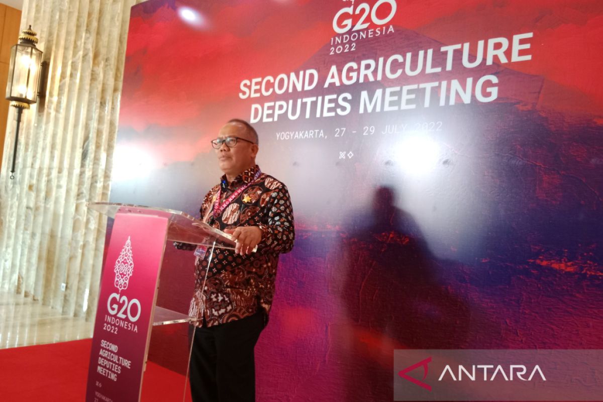 Indonesia ajak anggota G20 cari solusi tantangan pangan global