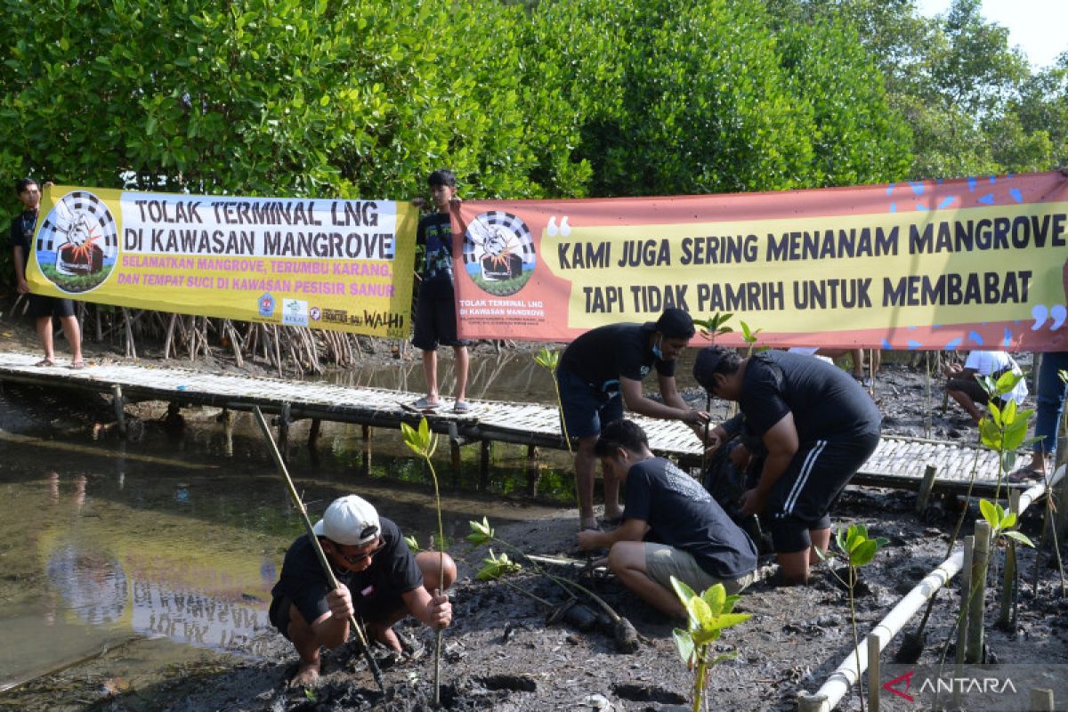 Masyarakat Intaran-Bali tanam ratusan bibit mangrove jelang G20