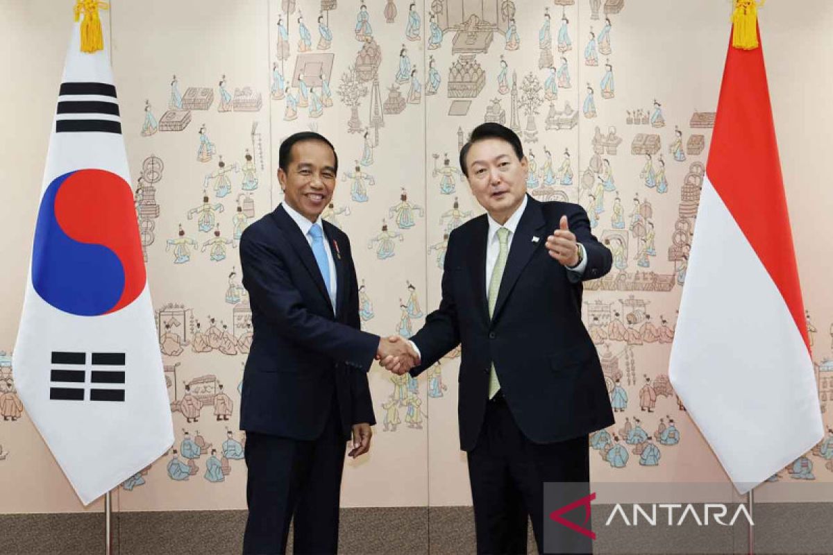 Pilot pesawat Presiden Korsel kibarkan bendera Korea-Indonesia