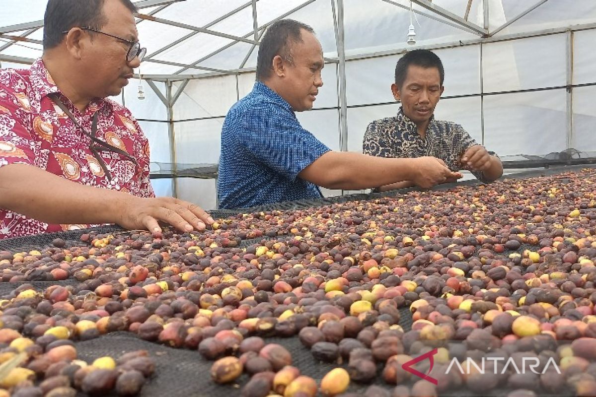 BI dampingi LPH audit 6 produk Koptan Maju Jaya Sipirok untuk dapatkan sertifikat label halal