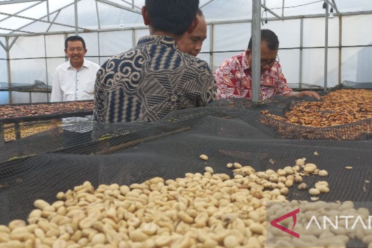 Rumah produksi Green Bean Maju Jaya Sipirok apresiasi PT PLN