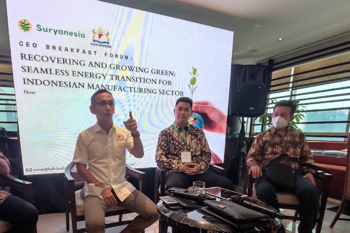 Kadin minta dukungan regulasi untuk transisi energi di industri