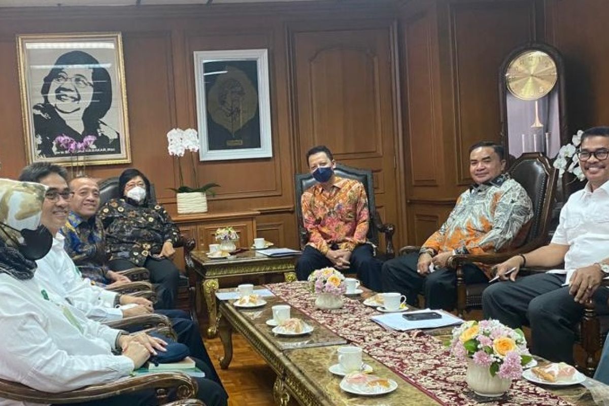 Kementerian LHK siap selesaikan konflik gajah dengan manusia di Aceh