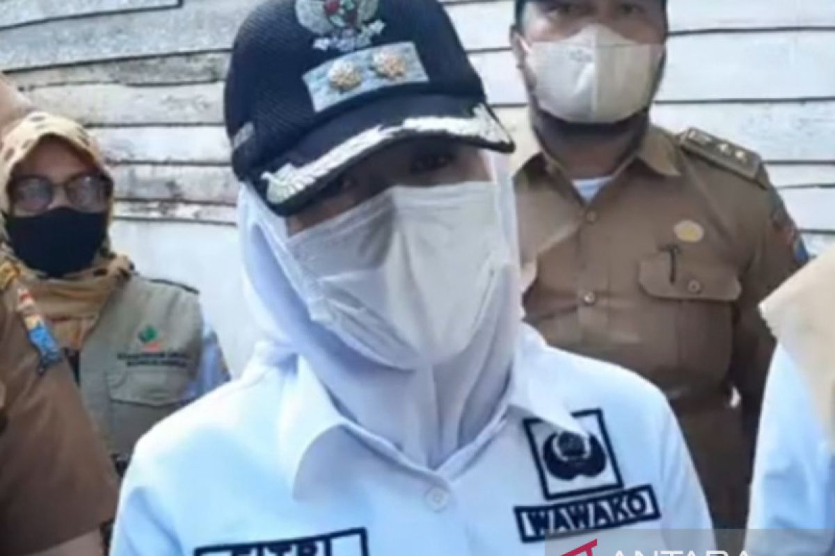 Wawako Palembang imbau warga waspadai cacar monyet