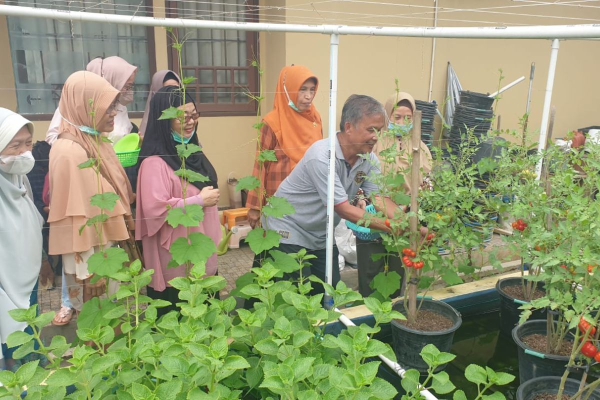 Sejumlah dosen Unsri Palembang edukasi pertanian perkotaan di komplek perumahan