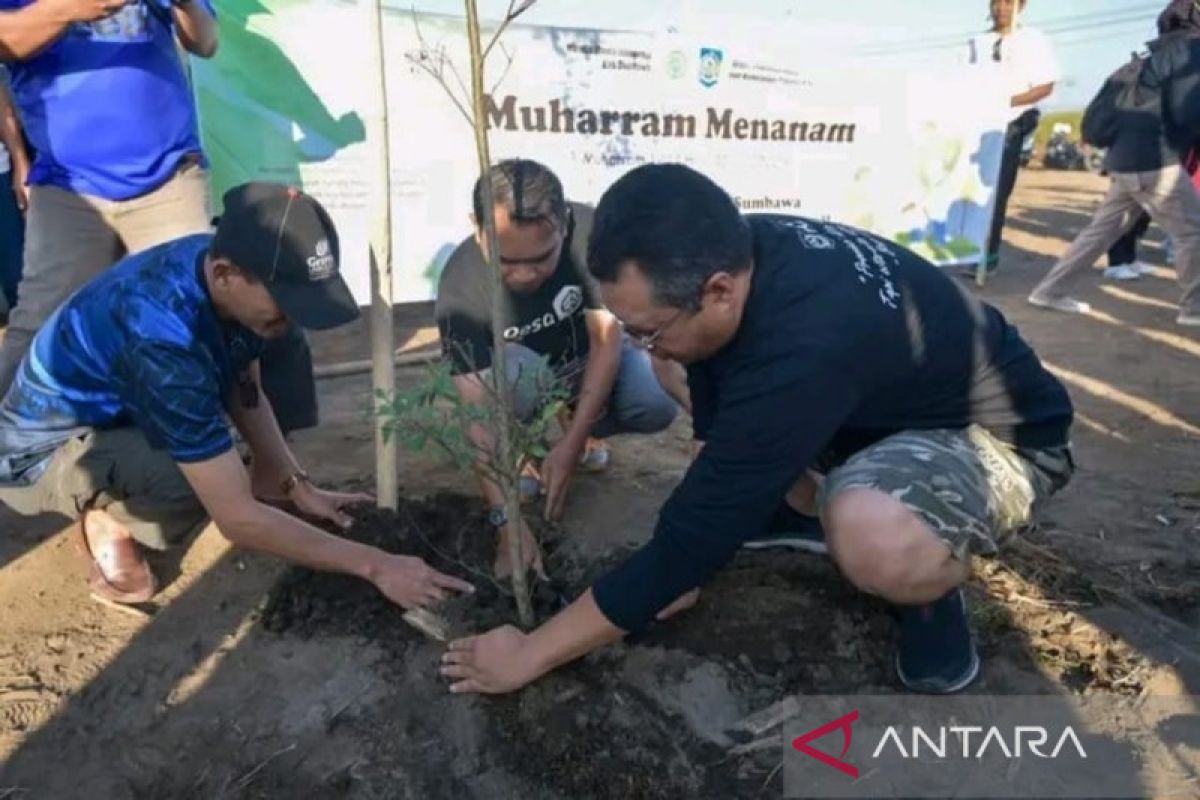 Gubernur NTB menanam pohon di Sirkuit MXGP Samota sambut 1 Muharam