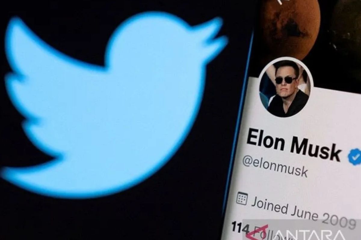 Musk ingin interogasi karyawan Twitter soal akun bot