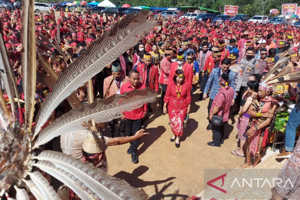 Pekan Gawai Dayak IX Sintang wujud nyata untuk memajukan budaya nasional