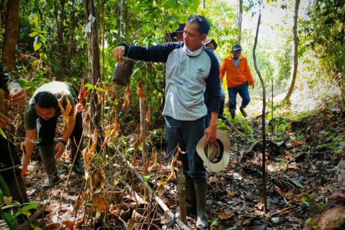 Pemantauan progres restorasi kawasan TANAGUPA