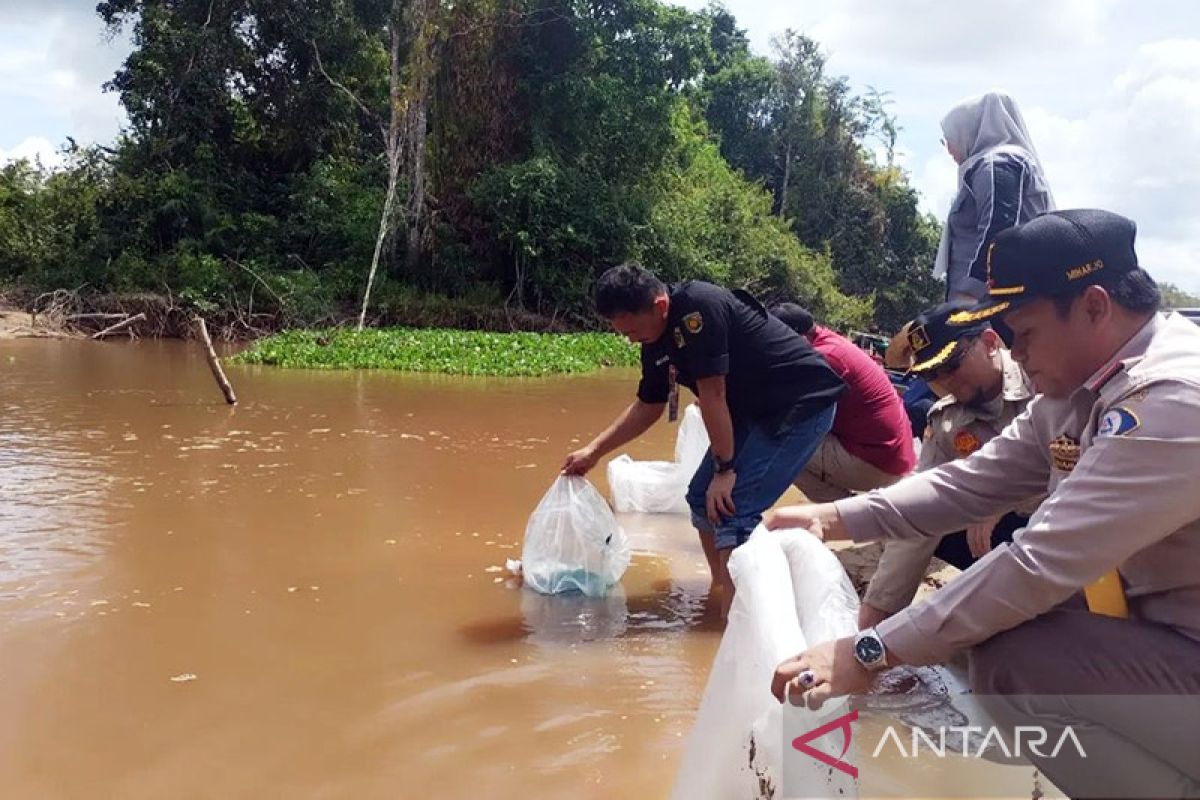 Dinas Perikanan Palangka Raya lepas 65.000 benih ikan di Danau Teluk