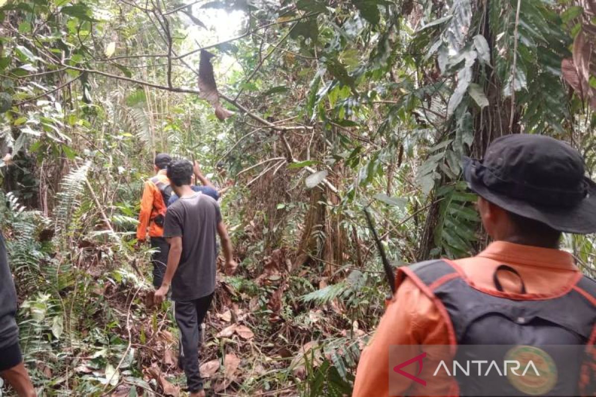 Warga hilang di hutan Aceh Barat ditemukan dalam keadaan lemas dan linglung