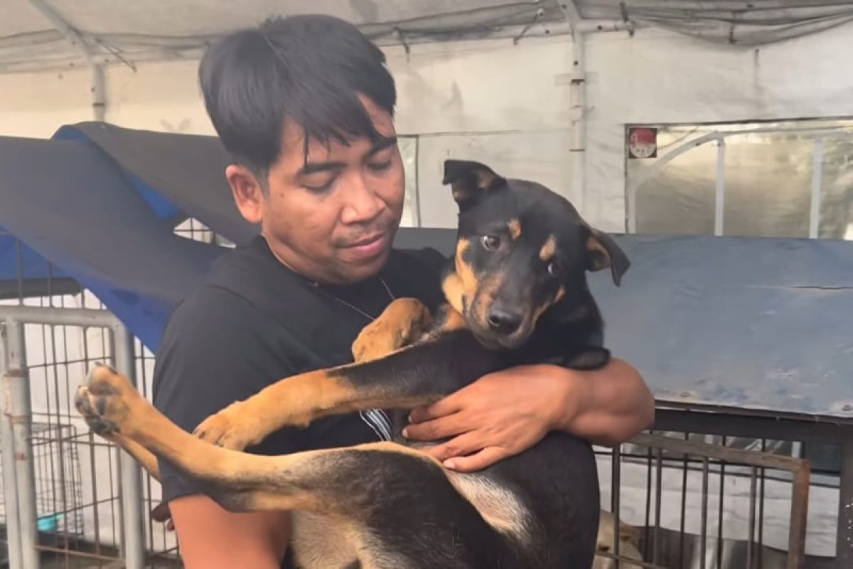 Polisi dan pencinta satwa gerebek rumah jagal anjing di Surabaya